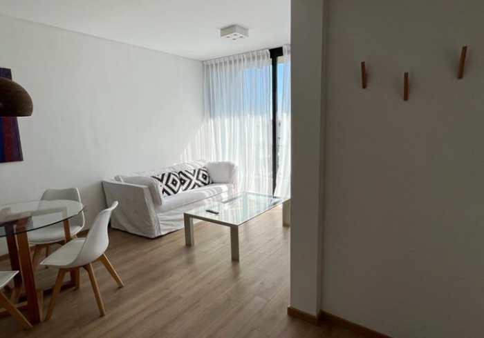 familiar monrosuites 25
